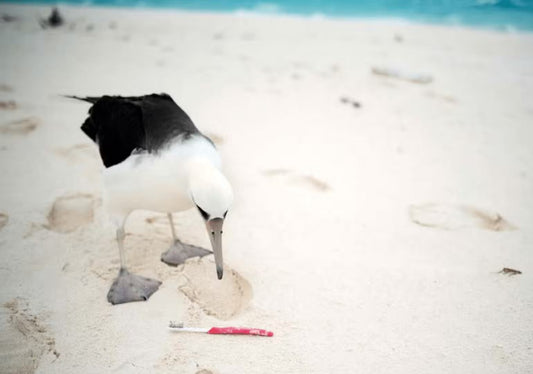 Réduire, réutiliser, recycler: nos engagements