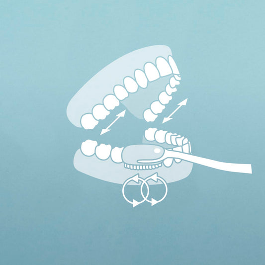 Adoptez le bon geste pour des dents saines : nos conseils pour un brossage efficace