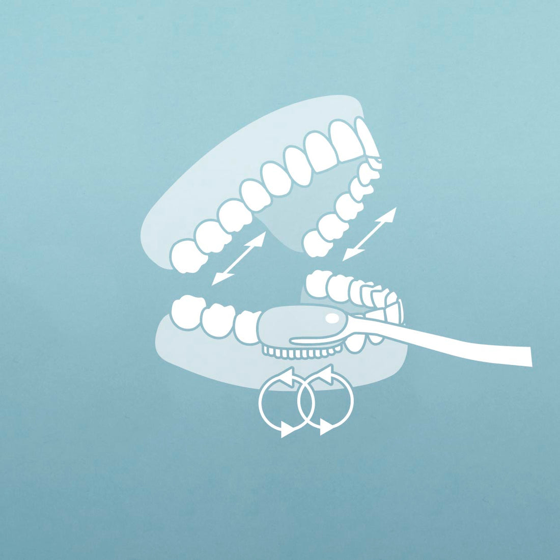 Adoptez le bon geste pour des dents saines : nos conseils pour un brossage efficace