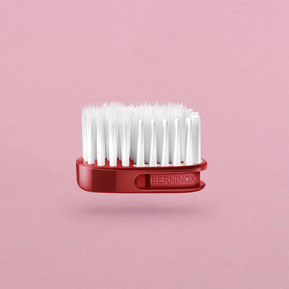 Startpakke Valentinsdag rød koral