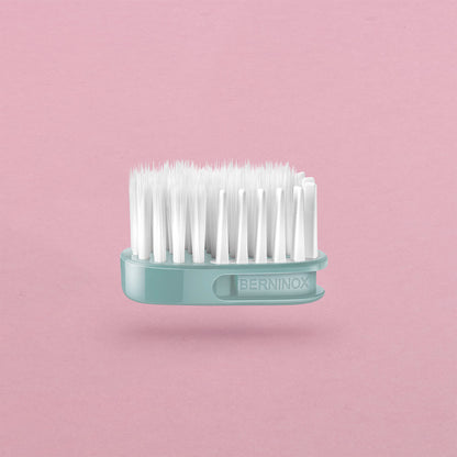 Startpakke Valentinsdag grøn issalat