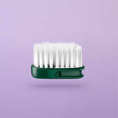 Double Starter Pack - Edition Printemps 2026