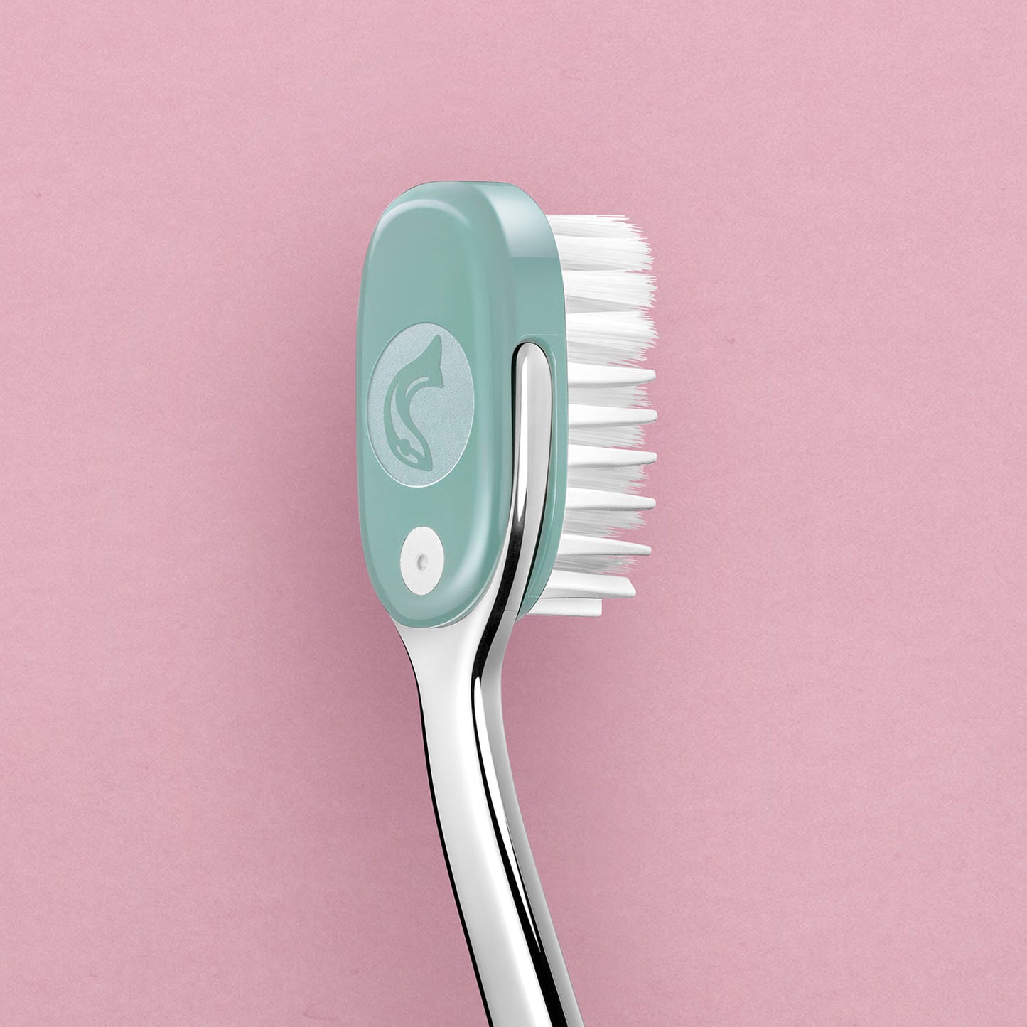 Startpakke Valentinsdag grøn issalat