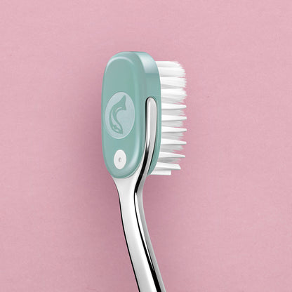 Startpakke Valentinsdag grøn issalat