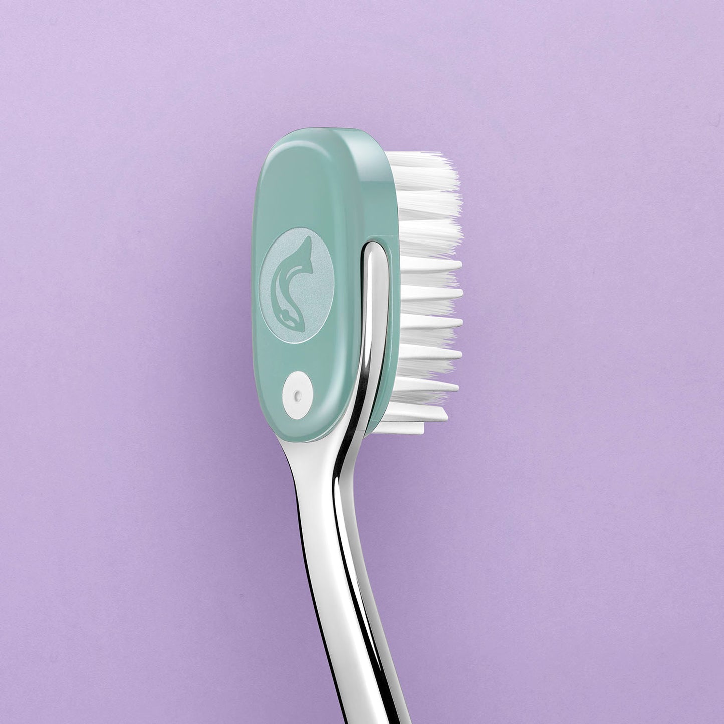 Double Starter Pack - Edition Printemps 2026